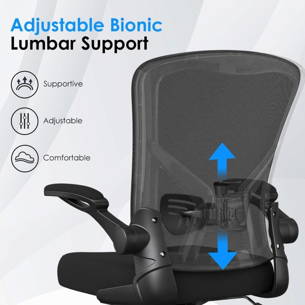 Farini Ergonomic Office Chair, Home Office Desk Chair with Headrest, High Back Computer Chair with Flip-up Armrests and Adjustable Lumbar Support.for Home Office Study Room Bedroom, Black.