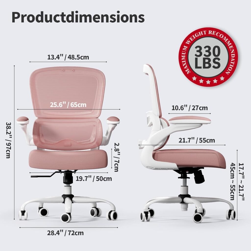 Office Chair - Ergonomic Desk Chair with Adjustable Lumbar Support, Mesh Computer Chair, Executive Chair for Home Office Comfortable Lumbar Support (White+Black)